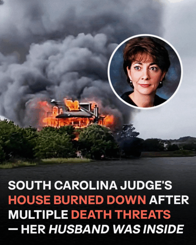Incident at Judge Diane Goodstein’s South Carolina Home: Fire Under Investigation