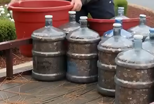 Man Collects Pennies for 45 Years — What He Did Next Will Inspire You