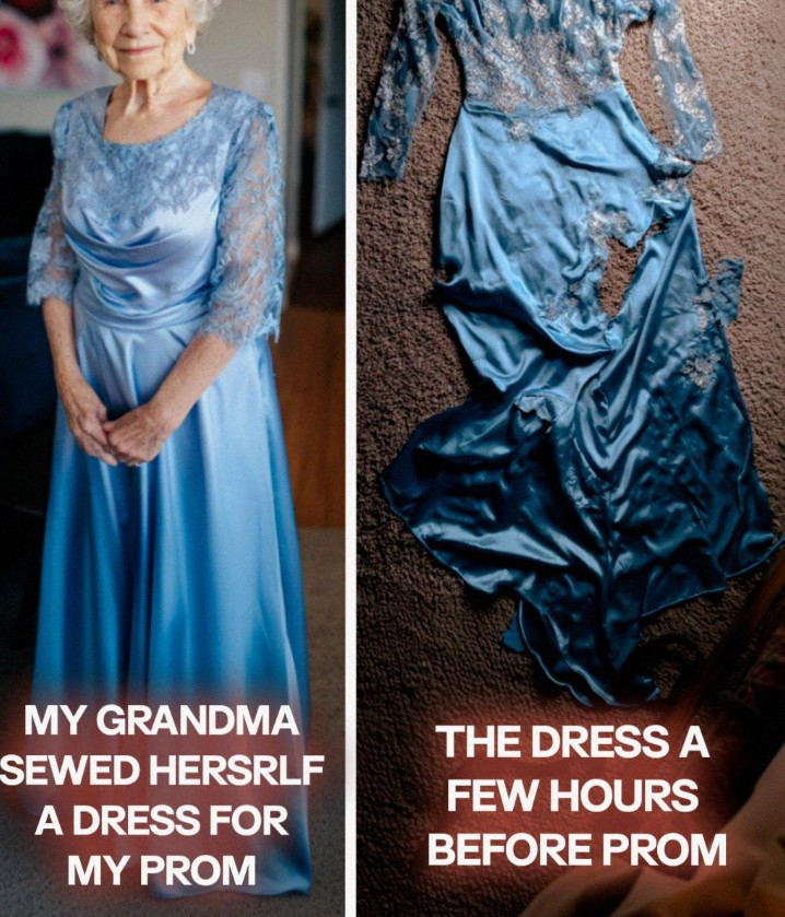 I Took My Grandma to Prom Since She Never Went – What My Stepmom Did Left Me Speechless