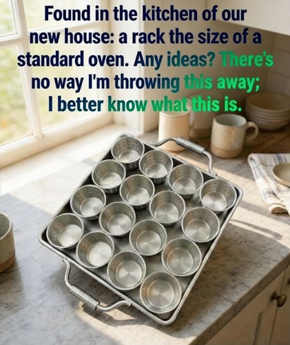 Homeowners Spot a Large, Unusual Rack in Their New Kitchen — Here’s What They Found